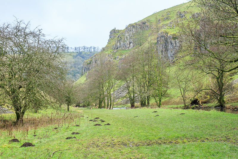 Peaseland Rocks